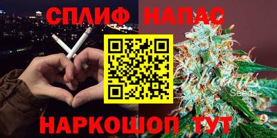 прущие грибы Можга