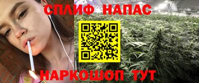 шишки Можайск