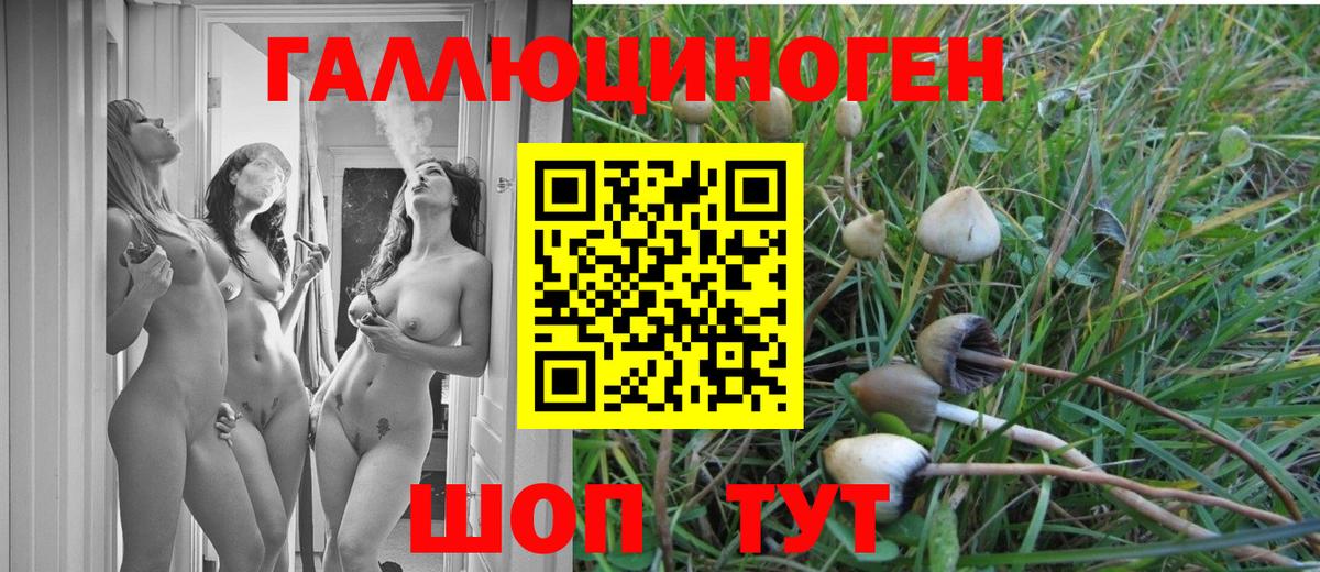 Псилоцибиновые грибы прущие грибы Улан-Удэ
