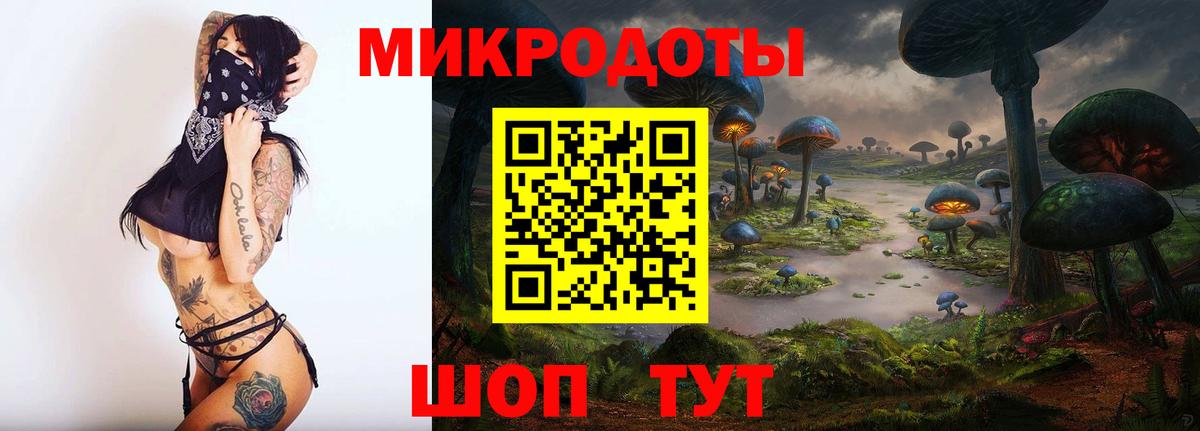 где купить наркотик  Псилоцибиновые грибы GOLDEN TEACHER  Вход с VPN  Улан-Удэ 